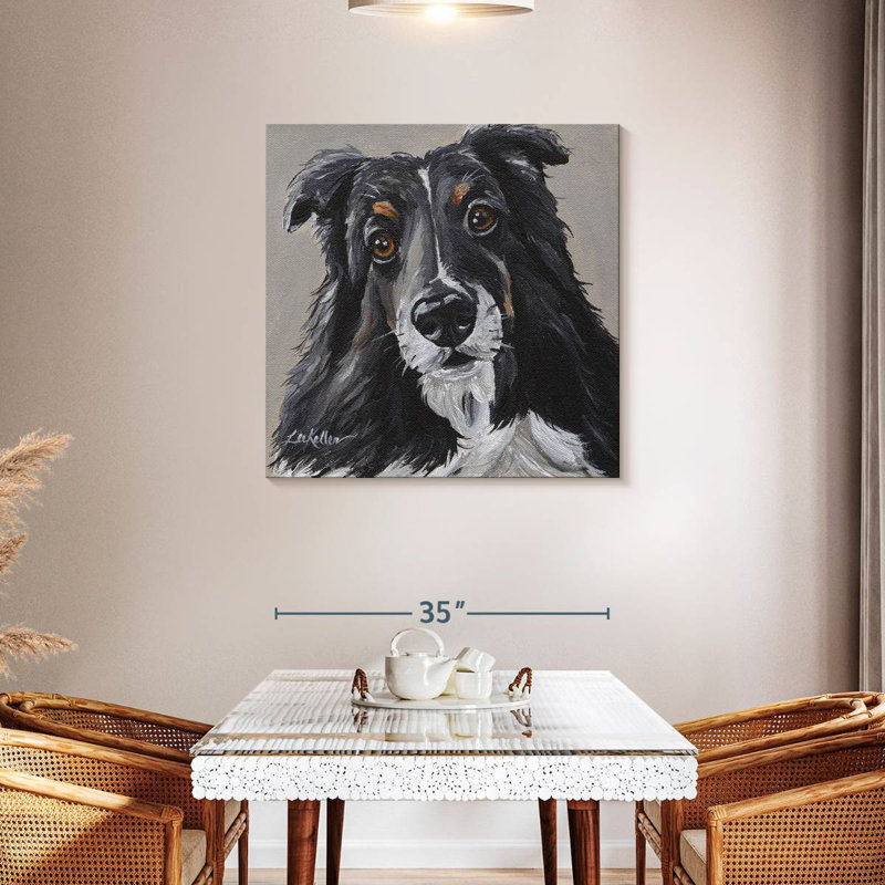Sheltie de Brampt sur fond gris, H 36 po x l 36 po