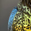 Art mural Ayatul Kursi-176861088