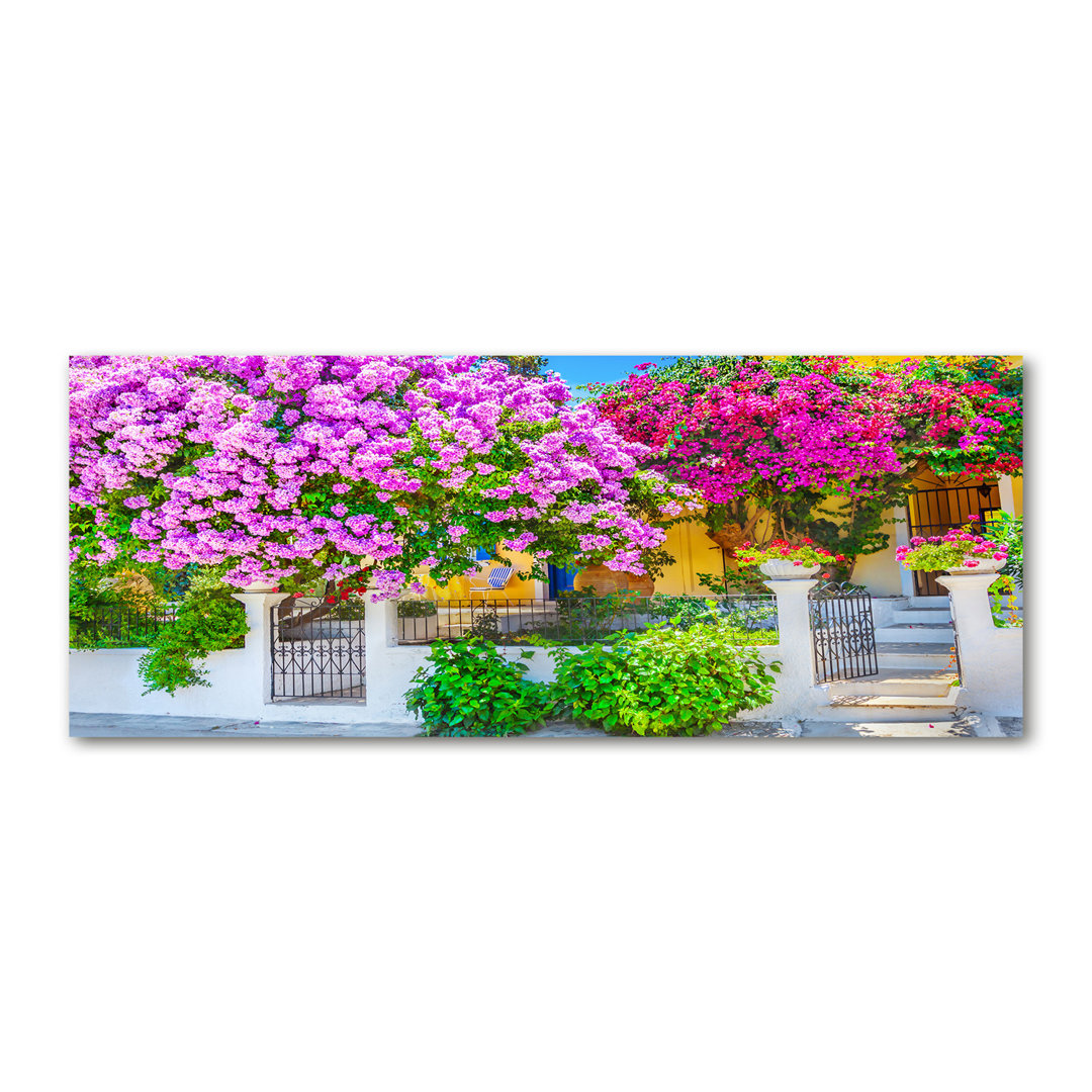 Haus mit Bougainvillea - Kunstdrucke auf Leinwand