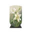 Armoire décorative Home Fresh-109315443