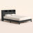 Wilder Modern 64.5" W Queen Platform Bed with Bookcase Headboard-453270967