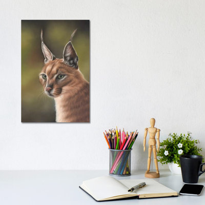 Caracal by Richard Macwee - Wrapped Canvas Gallery-Wrapped Canvas Giclée