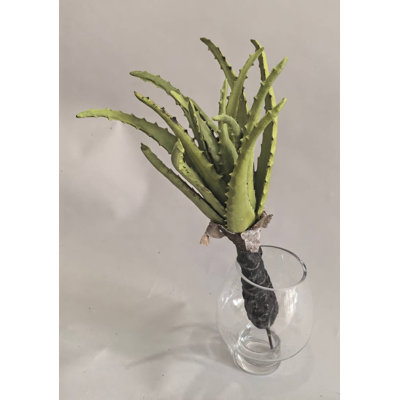 PLANTE D'AGAVE 17''