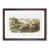 Walnut Framed selected