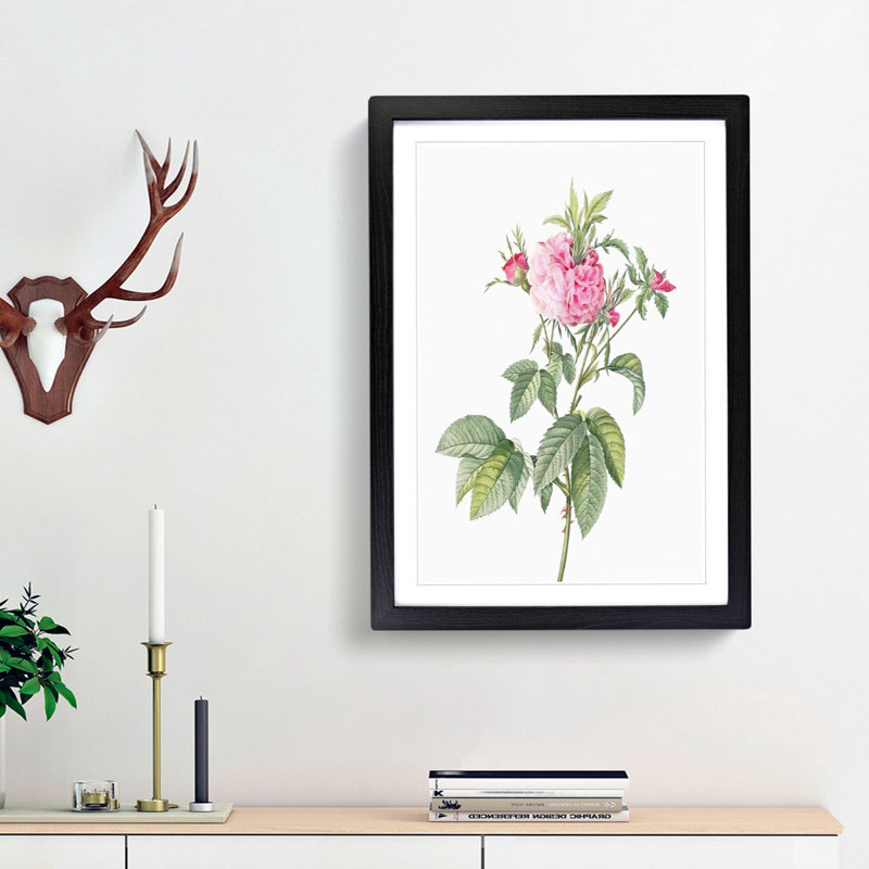 Pink Agatha Roses by Pierre-Joseph Redoute - Picture Frame Painting Print, Black Framed, 48cm H x 36cm W x 2cm D