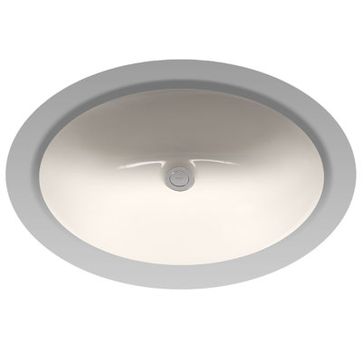 Rendezvous® Vitreous China Oval Undermount Bathroom Sink with Overflow