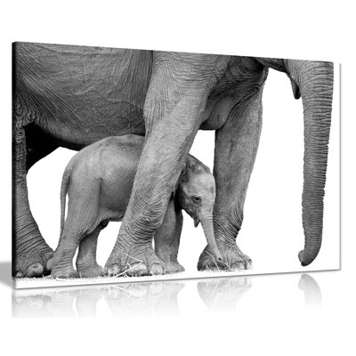 Elephant And Baby - Wrapped Canvas Print