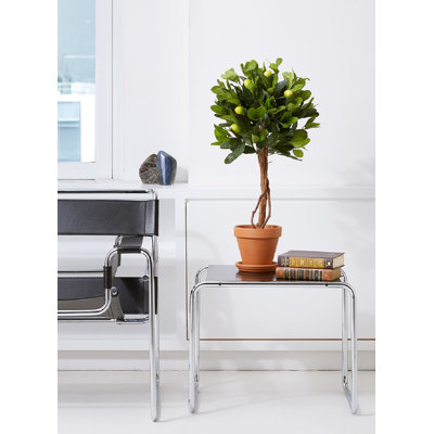 28'' Faux Lemon Topiary in Pot