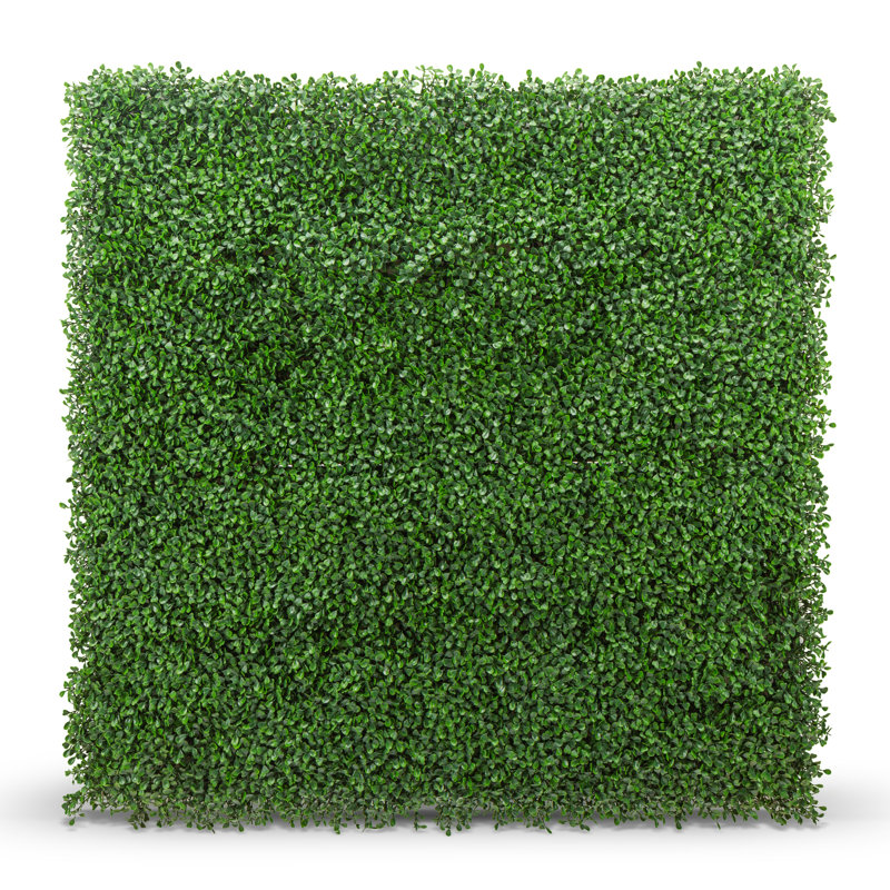 Boxwood 40"x40" Foliage Panel
