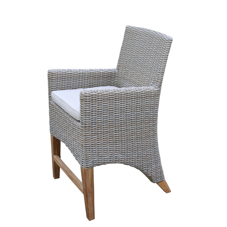 Nicole High-Density Polyethylene (HDPE) Wicker Premium All-Weather Wicker Dining Armchair with Sunbrella® Cushion