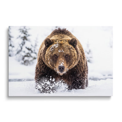 Peinture multicolore sur toile, peinte à l'ours brun enneigé, art mural pour salon, salle à manger et chambre à coucher
