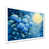 Picture Frame Print