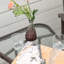 Fauteuils coulissants d'extérieur avec table basse Outsunny