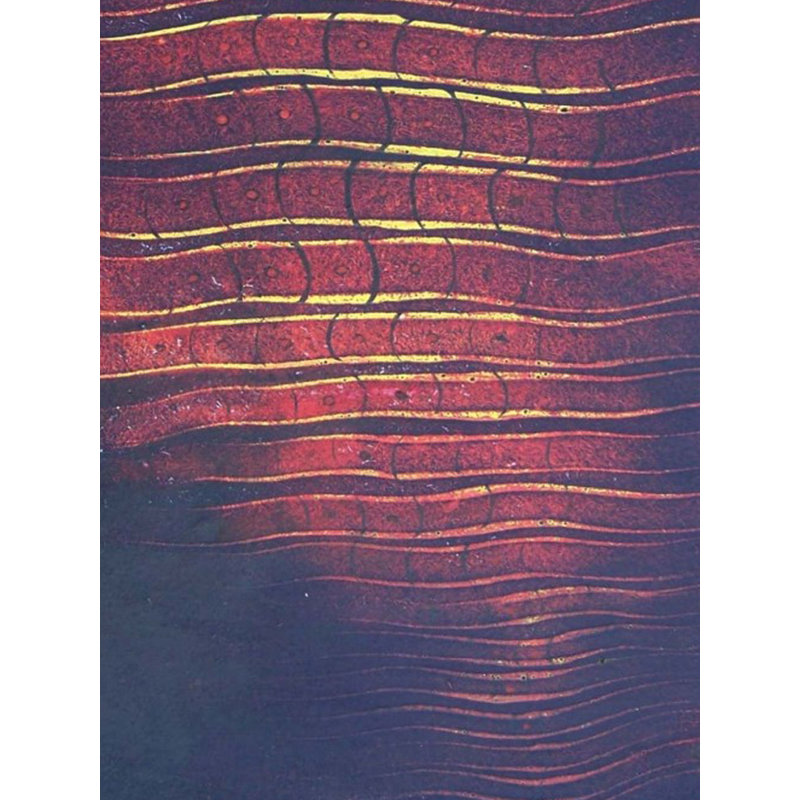 Climat de la nature - Abstrait | Acrylique sur toile | Par Prasanna Musale