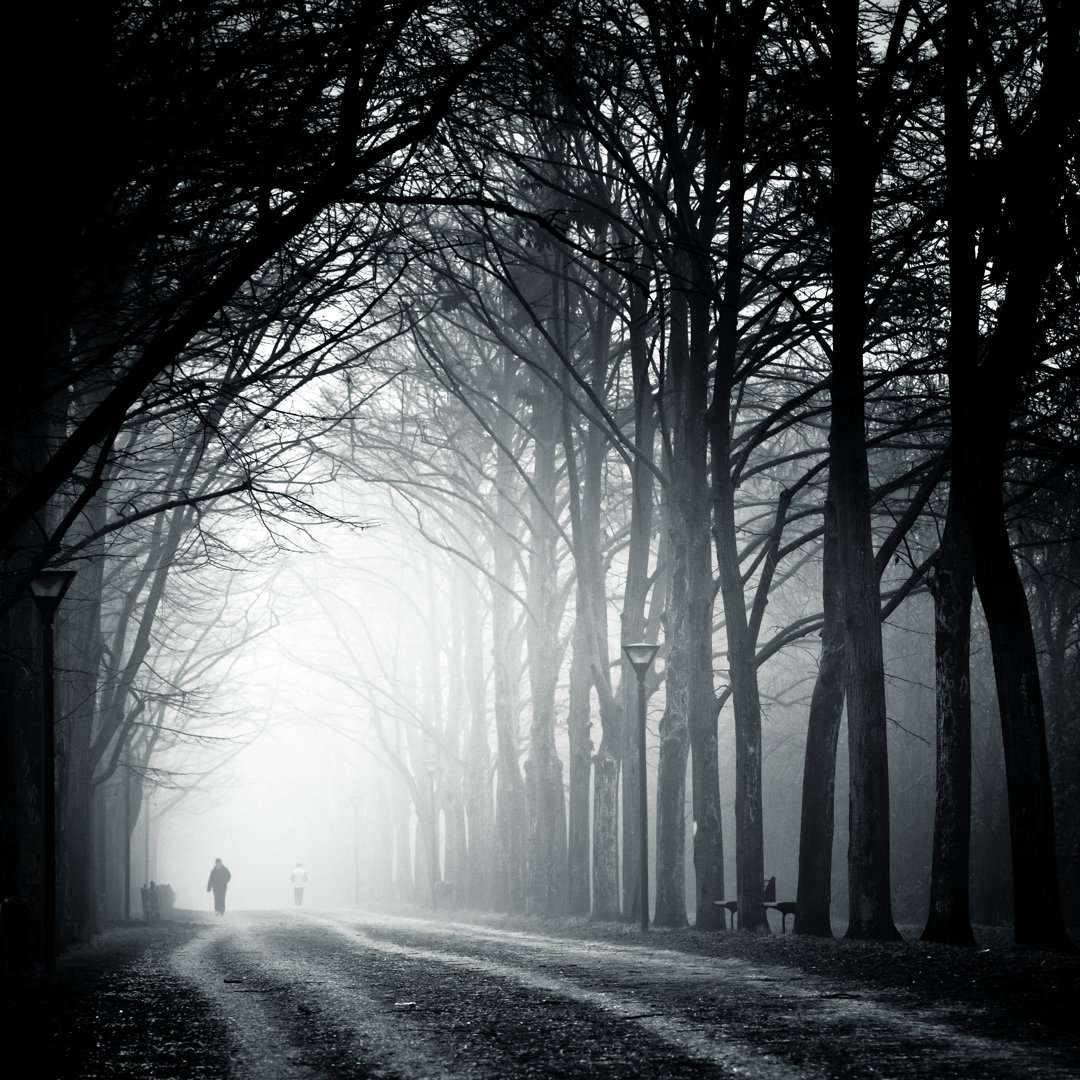 Leinwandbild Pathway In Forest von Moreiso