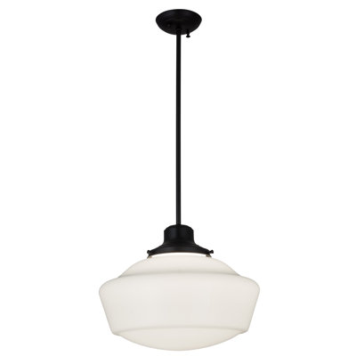 Luminaire suspendu 1 lumières scolaire single Moton