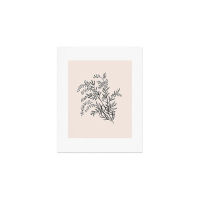 Anis Illustration Minimal Acacia Branch, reproduction d'art non encadrée
