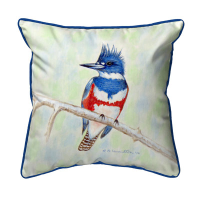 Housse et insert de coussin carré extérieur Kingfisseur