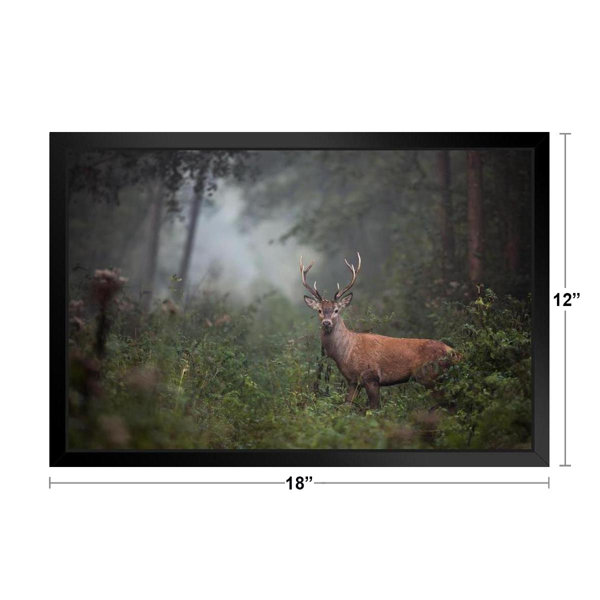 Stag Deer Sunset Autumn Forest Canvas Wall Art Animal Picture Print