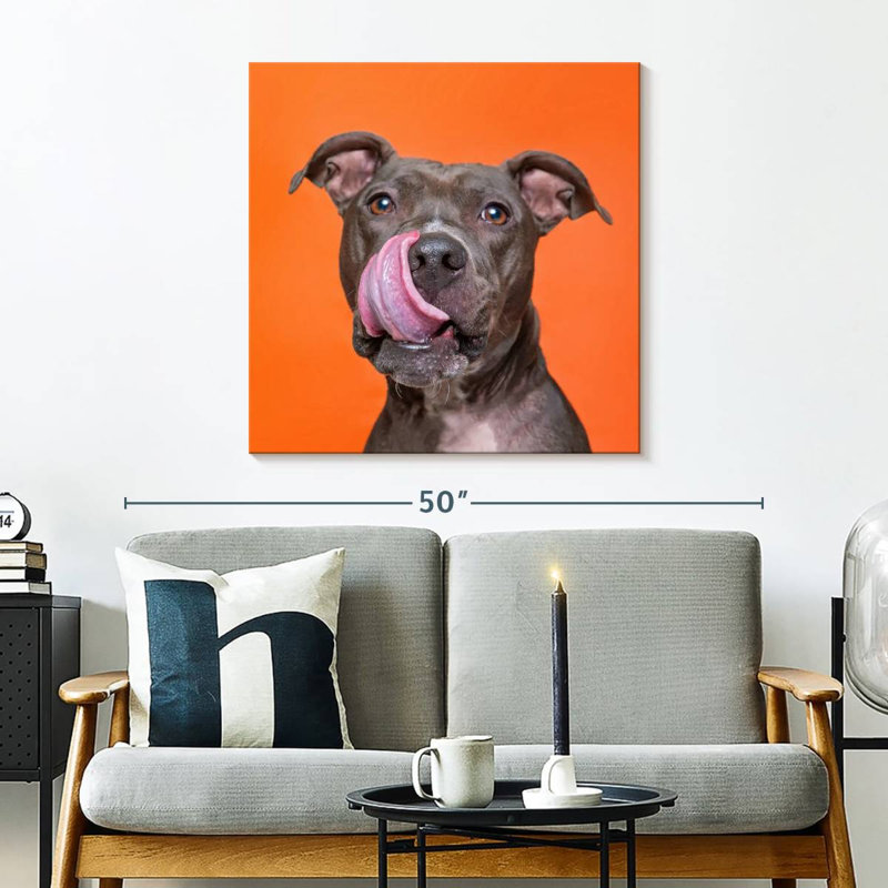 Crowle Silly Pet Pit Bull, H 30 po x l 30 po