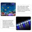 Aquarium en verre bleu 47,24 "avec filtration latérale-344621564-344621566