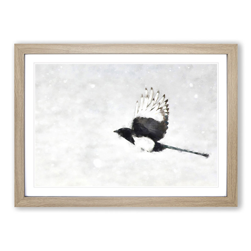 Magpie in Flight - Picture Frame Graphic Art Print, 62cm H x 87cm W x 2cm D, Oak Framed