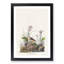 Yellow-Winged Sparrow by John James Audubon - Picture Frame Art Print-55641733-55641737