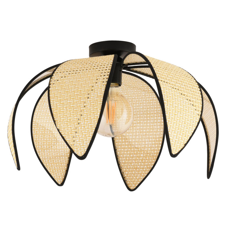 Lustre, Chameau / noir