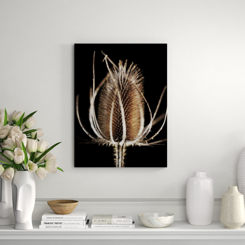 Thistle Detail II Print by Chris Dunker, 48" H x 36" W x 1.5" D, Outdoor