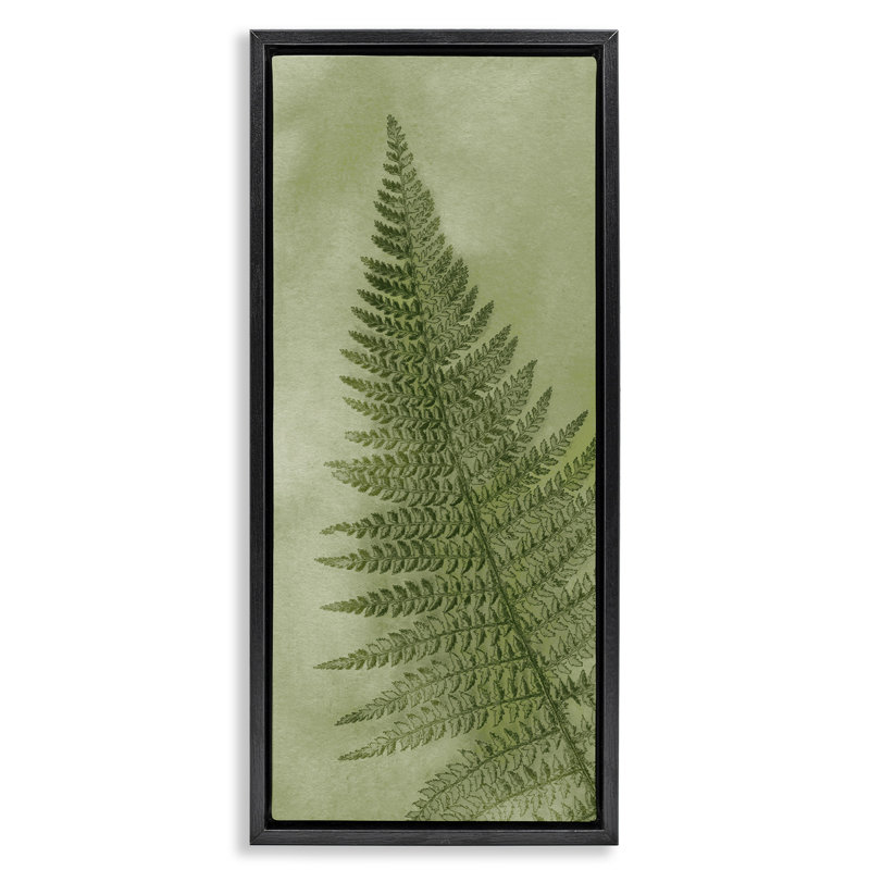 Feuille de fougère verte détaillée, H 25 po x l 11 po, Cadre flottant noir de jais