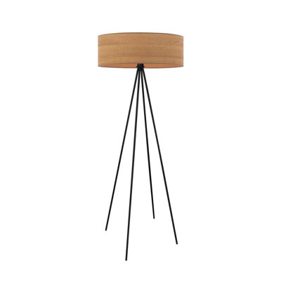 Broderick 157cm Novelty Floor Lamp
