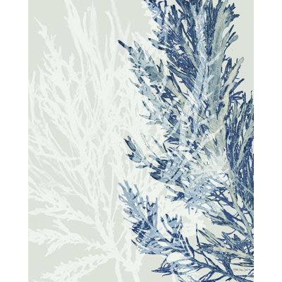 " Transparent Coral 1 " by Stellar Design Studio