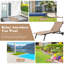 Lelouch Outdoor Metal Chaise Lounge