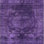 Oriental Indoor Rug