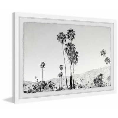 Altavista «Palm Tree Forest», reproduction de photo encadrée