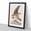 Osprey by John Audubon - Framed Print-55577948-55577952