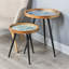 Chadbourne Tray Top Nesting Tables-224416388