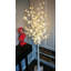 Arbre illuminé avec lumière blanche pré-éclairée