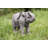 Elephant with Trunk Up Statue