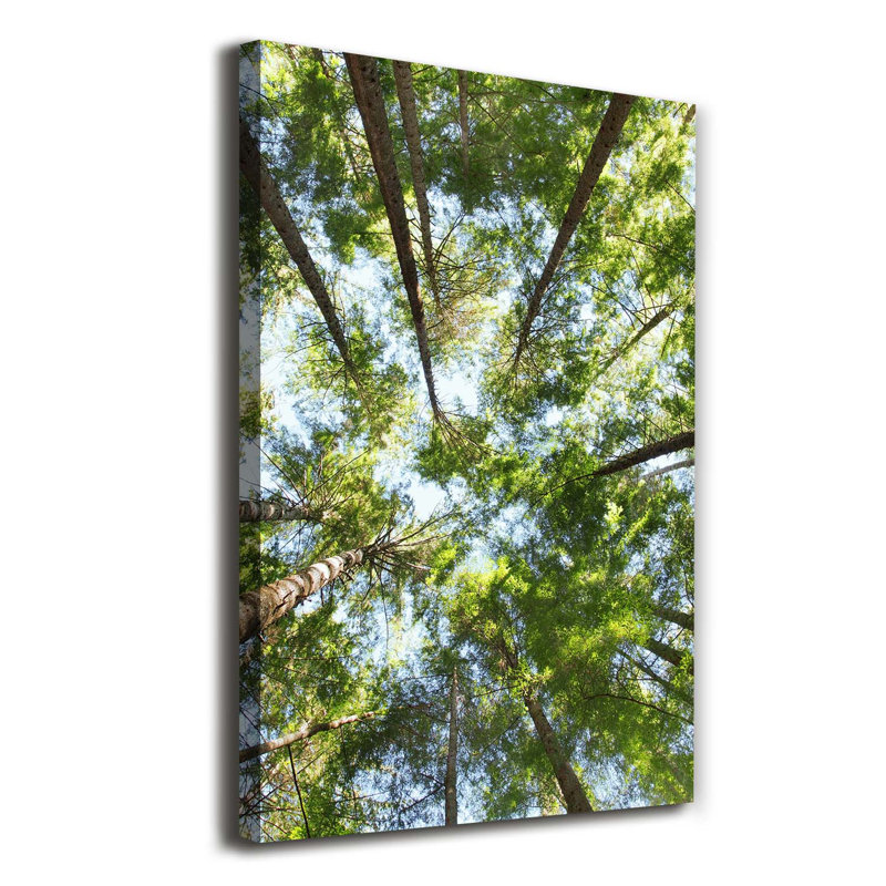 Crown Of Trees - Wrapped Canvas Print