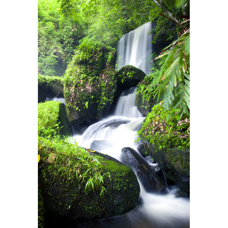 Waterfall in Forest 1 Piece Wrapped Canvas Wall Art, 76cm H x 51cm W x 3.8cm D
