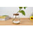 2-pack Water Drop Glass Hydroponic Vase With Wooden Stand & Separated Tray, Desktop Propagation Station, Plant Terrarium For Home Office Decor
