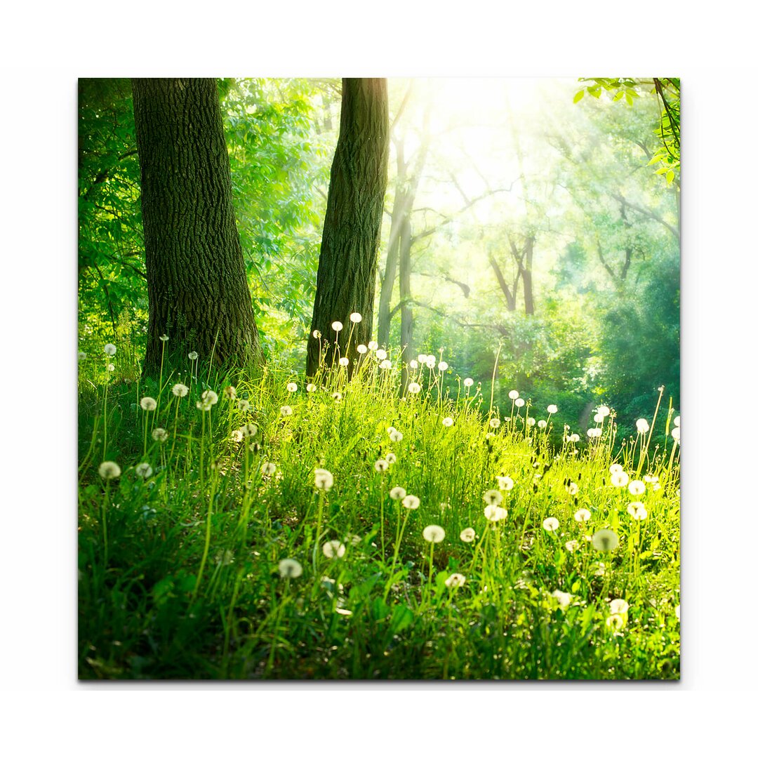 Leinwandbild Pusteblumen im Wald