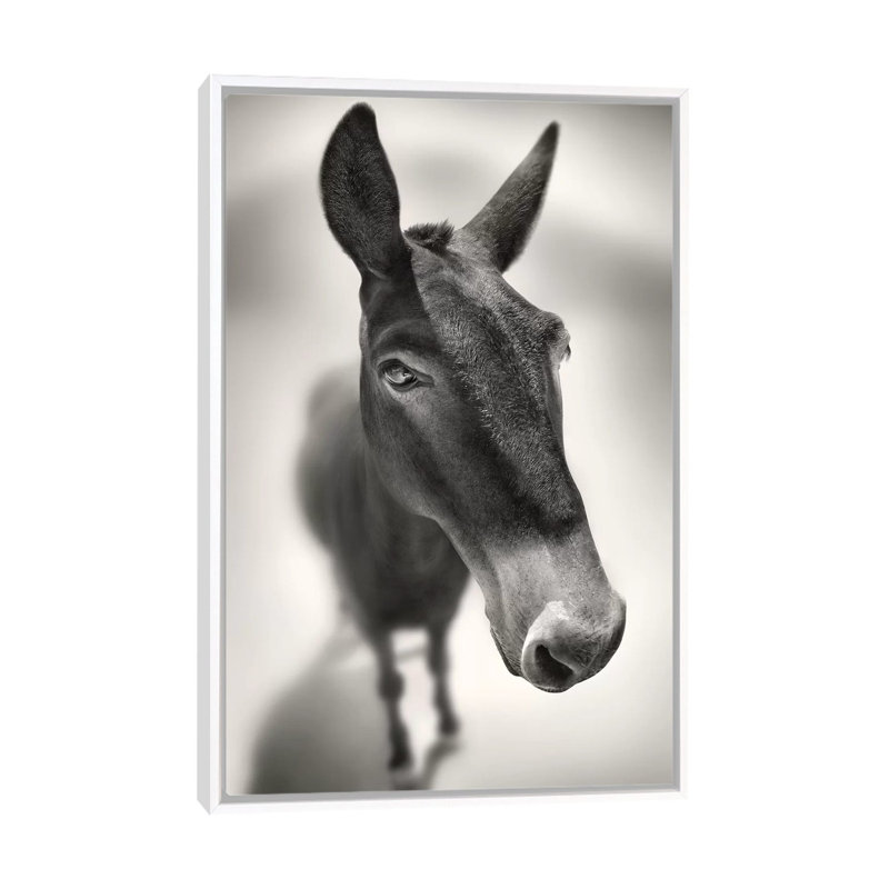« Talking to me » par Ben Heine-reproduction de photo, Toile blanche encadrée, Pas de tapis, H 26 po x l 18 po x 1,5 po