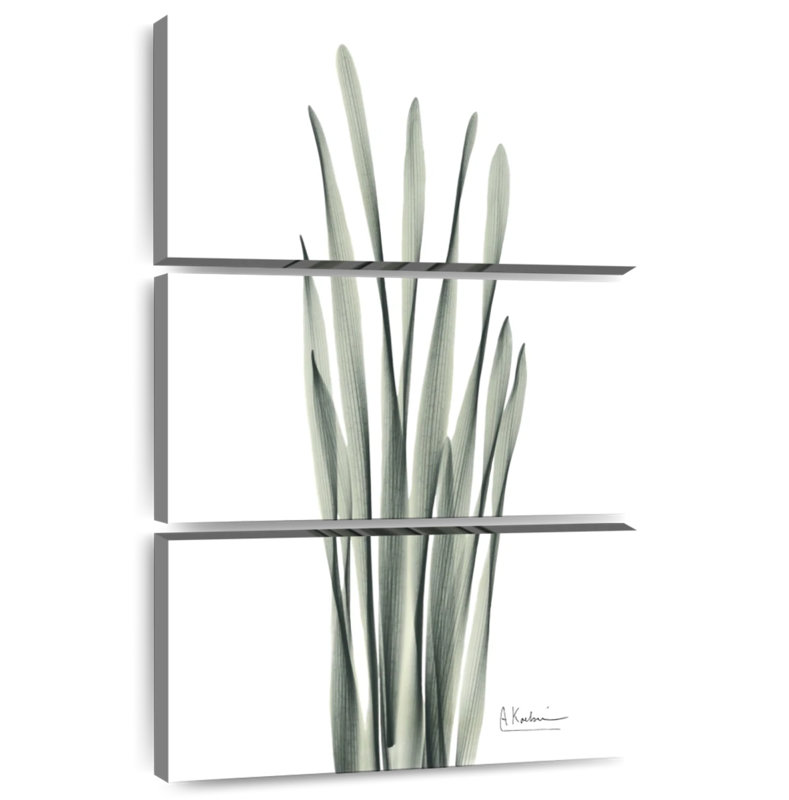 Harnek Hyacinth Leaf, 50" H x 32" W