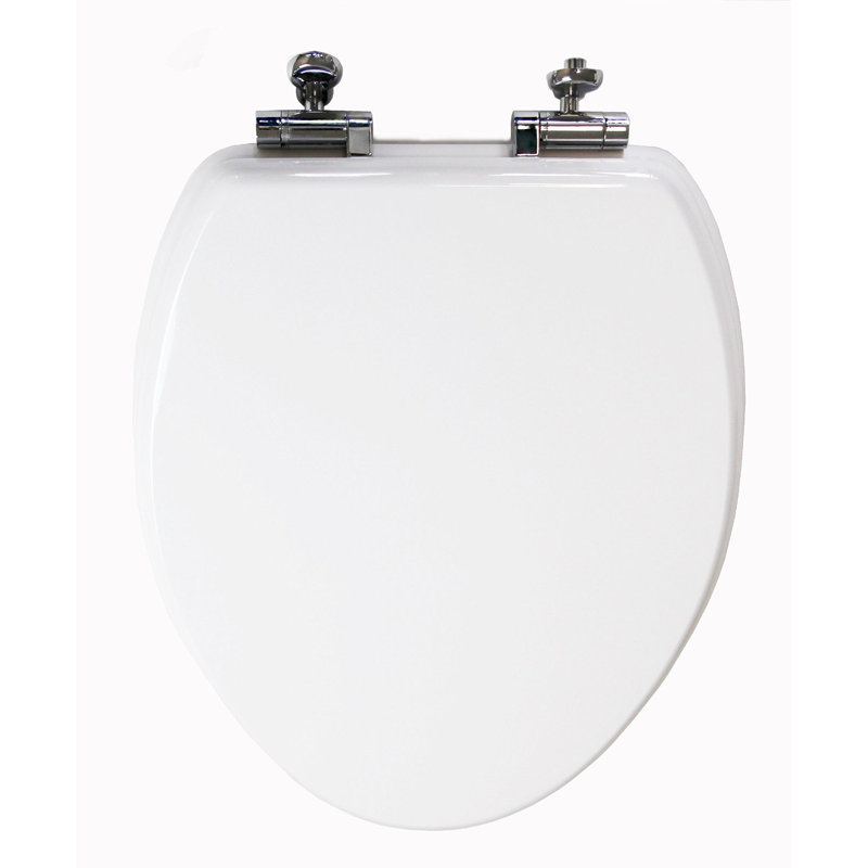 Elongated Toilet Seat and Lid