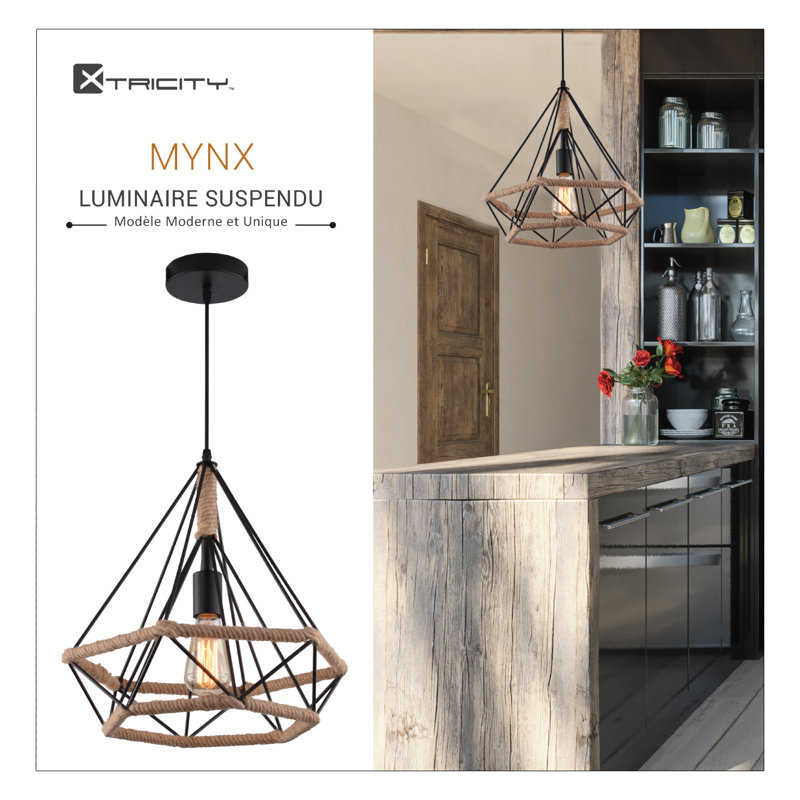 Luminaire suspendu géométrique unique à 1 lumière Mynx