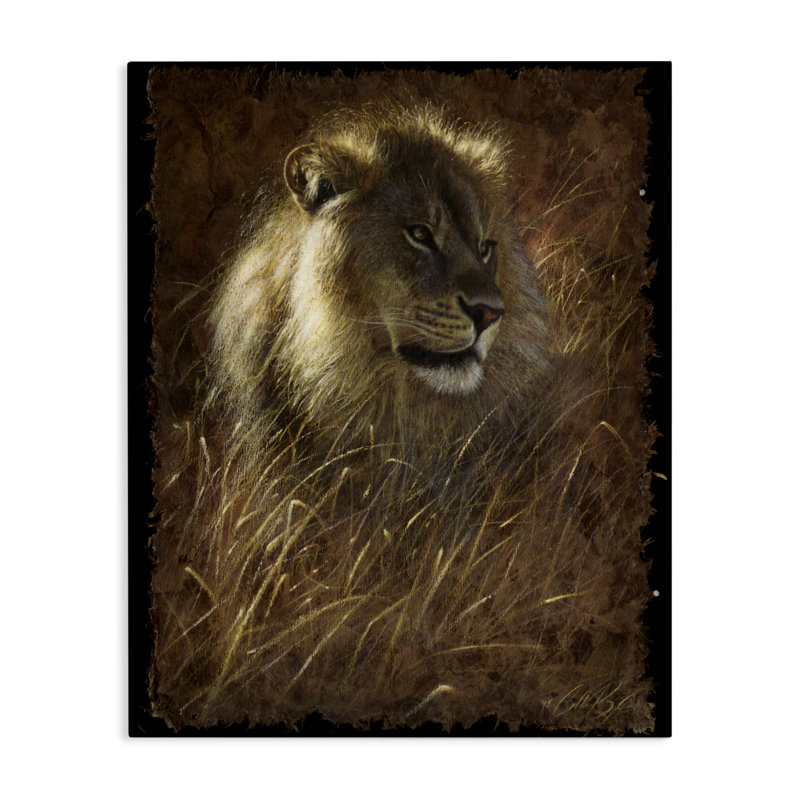 Lion On Rustic Bark Canvas, design by Collin Bogle, 20" H x 16" W