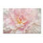 «Pink Peony», reproduction sur toile tendue-409246758