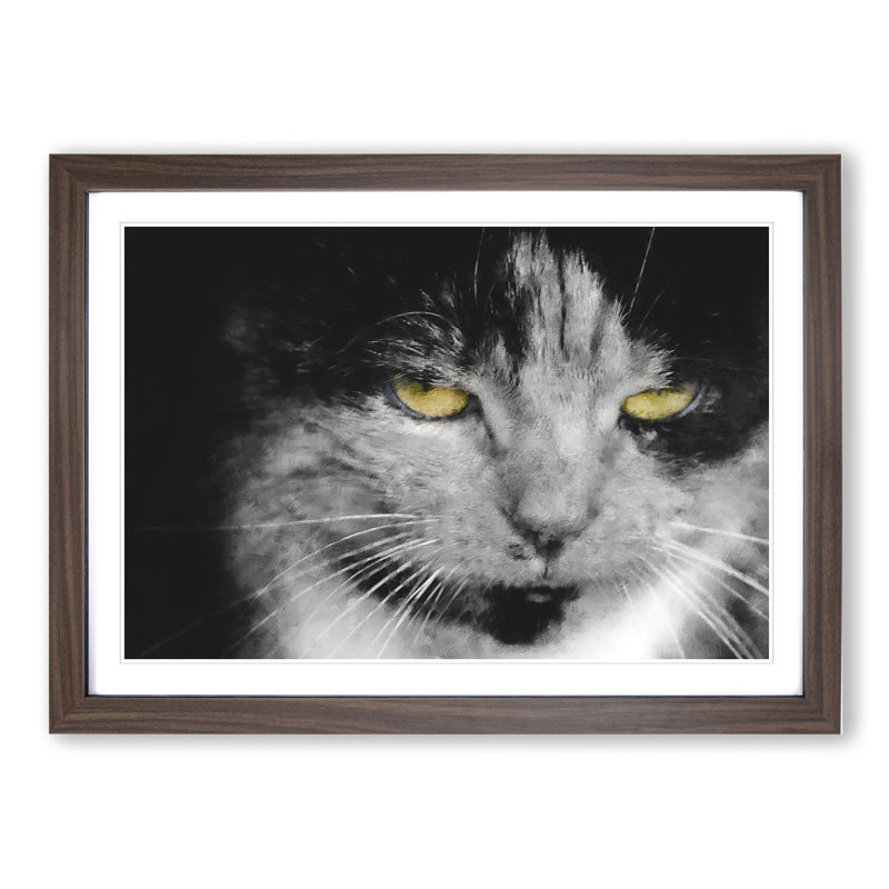 Portrait of a Cat Vol.4 - Framed Print, 36cm H x 48cm W x 2cm D, Walnut Framed